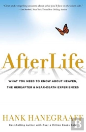 Afterlife