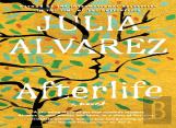 Afterlife