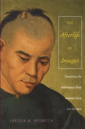 Afterlife Of Images