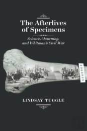 Afterlives Of Specimens