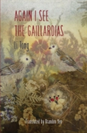 Again I See The Gaillardias
