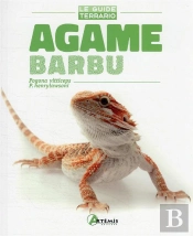 Agame Barbu ; Pogona Vitticeps, P. Henrylawsoni