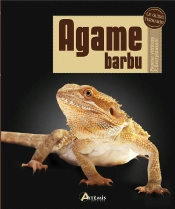 Agame Barbu