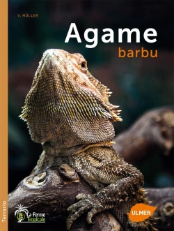 Bertrand.pt - Agame Barbu