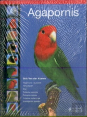 Agapornis