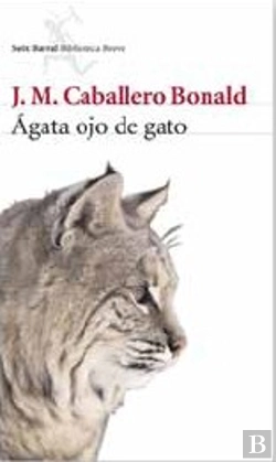 Bertrand.pt - Ágata Ojo De Gato