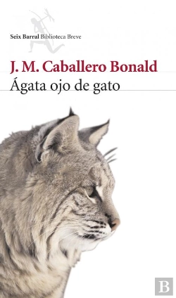 Bertrand.pt - Ágata Ojo De Gato