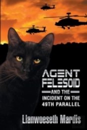 Agent Felesoid And The Incident On The 4