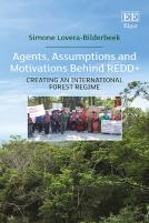 Agents, Assumptions And Motivations Behind Redd+