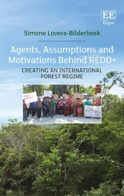 Agents, Assumptions And Motivations Behind Redd+