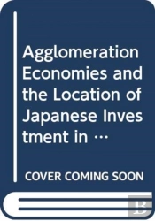 Agglomeration Economies, New Industrial Clusters And Japanese Multinational Firmsâ€™ Location In East Asia