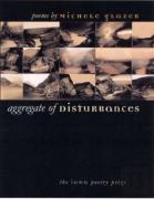 Aggregate Of Disturbances
