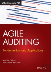 Agile Auditing