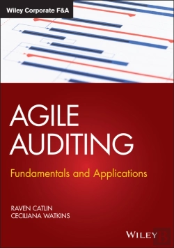 Bertrand.pt - Agile Auditing