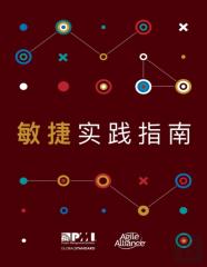 Agile Practice Guide (Simplified Chinese Edition)