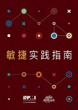 Bertrand.pt - Agile Practice Guide (Simplified Chinese Edition)