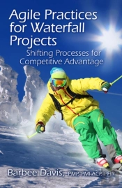 Agile Practices For Waterfall Projects