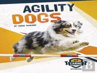 Agility Dogs