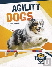 Agility Dogs