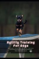 Agility Training For Dogs