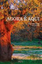Agora é Aqui