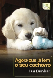 Agora que já tem o seu Cachorro