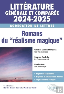 Bertrand.pt - Agrégation De Lettres 2024-2025 : Littérature Générale Et Comparée ; Romans Du 