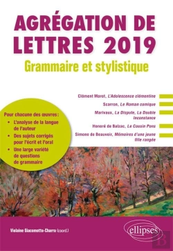 Bertrand.pt - Agrégation De Lettres ; Grammaire Et Stylistique (Édition 2019)