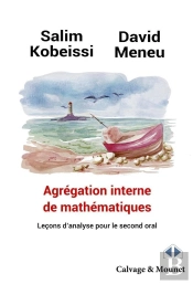 Agrégation Interne De Mathématiques : Leçons D'Analyse Pour Le Second Oral