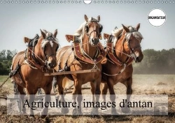 Bertrand.pt - Agriculture Images D Antan Calendrier Mural 2018 Din A3 Horizontal