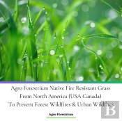 Agro Forestrium Native Fire Resistant Grass From North America (Usa Canada) To Prevent Forest Wildfires & Urban Wildfires