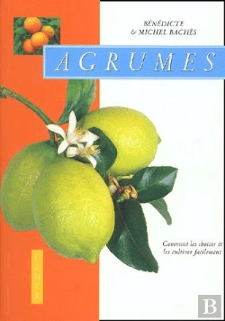Bertrand.pt - Agrumes