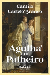 Agulha em Palheiro