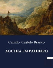 Agulha Em Palheiro