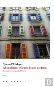 Ah J'Oubliais L'Effarante Beauté Des Lieux... Portraits Et Paysages De Genève