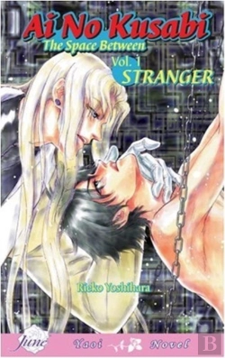 Bertrand.pt - Ai No Kusabi The Space Between Volume 1: Stranger (Yaoi Novel)