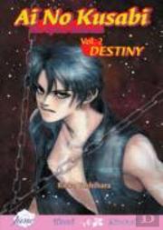 Ai No Kusabi The Space Between Volume 2: Destiny (Yaoi Novel)