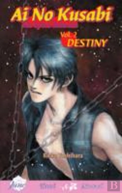 Bertrand.pt - Ai No Kusabi The Space Between Volume 2: Destiny (Yaoi Novel)