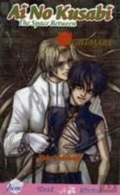 Ai No Kusabi The Space Between Volume 3: Nightmare (Yaoi Novel)
