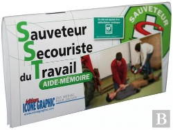 Bertrand.pt - Aide Mémoire Sauveteur Secouriste Du Travail ; S.S.T.