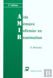 Aide-Memoire Techniques Etsoins En Reanimation