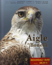 Aigle De Bonelli ; Méditerranéen Méconnu
