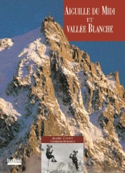 Aiguille Du Midi Et Vallee Blanche