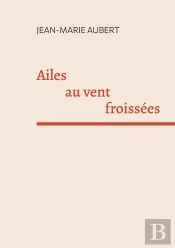 Ailes Au Vent Froissées