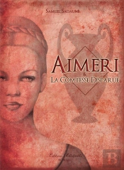 Aimeri Et La Comtesse Disparue T.2