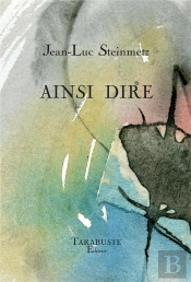 Ainsi Dire - Jean-Luc Steinmetz
