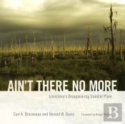 Ain'T There No More