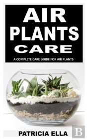 Air Plant Care