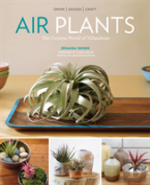 Air Plants