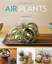 Air Plants